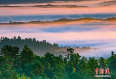 地企融合 探出“中国林都”伊春转型新路